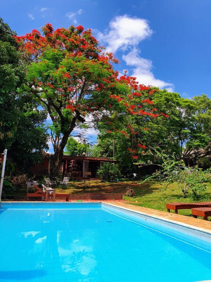 بويرتو إجوازو Posada Iguazu Colibri المظهر الخارجي الصورة